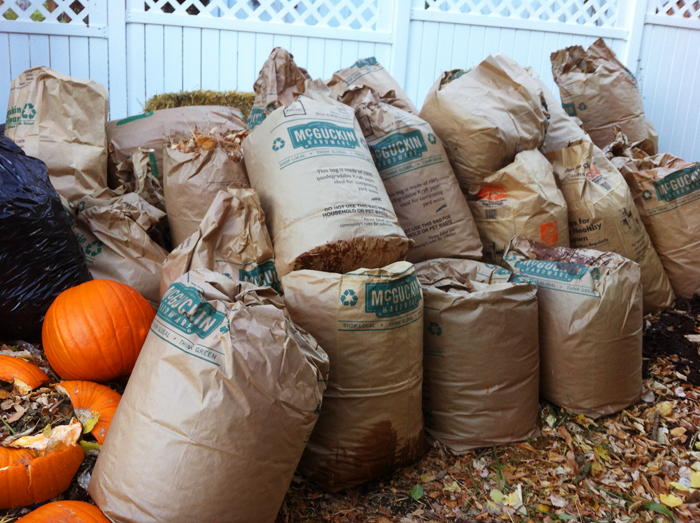 Collected Leaf Bags