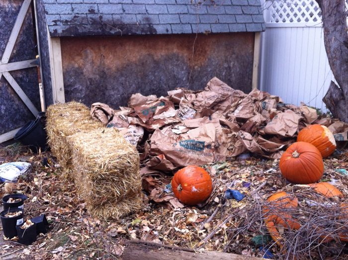 Mulch area beginning